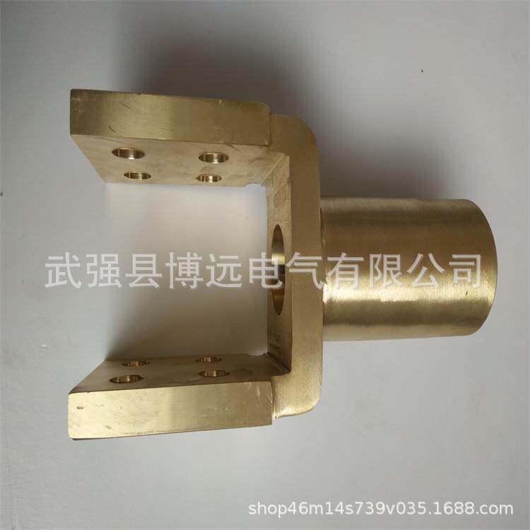 厂家现货  电力变压器配件 导电杆黄铜铸造双面猴头端子镀锡佛手