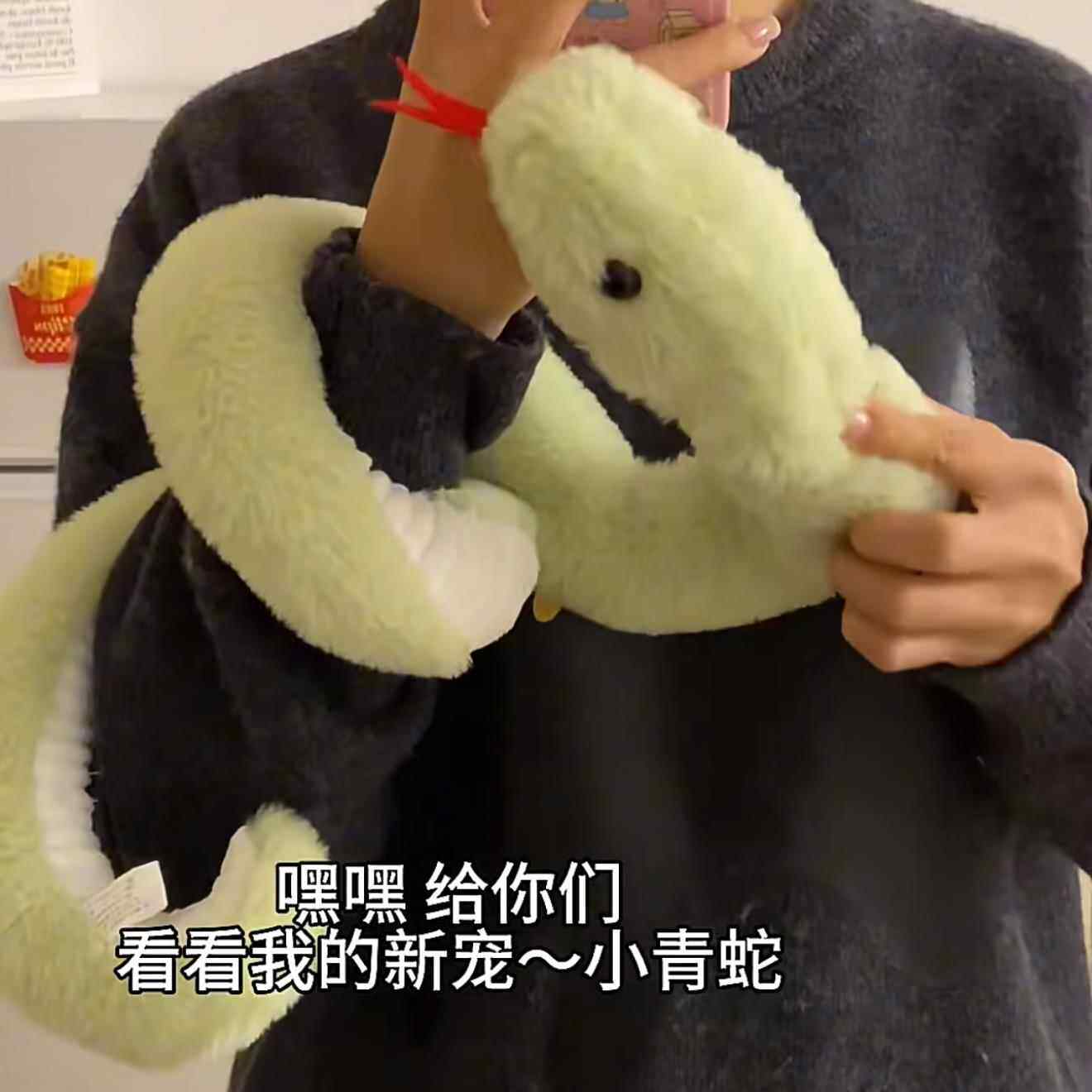 2025蛇年吉祥物小蛇玩偶缠在手上的蟒蛇创意大蛇抱枕靠垫青蛇摆件