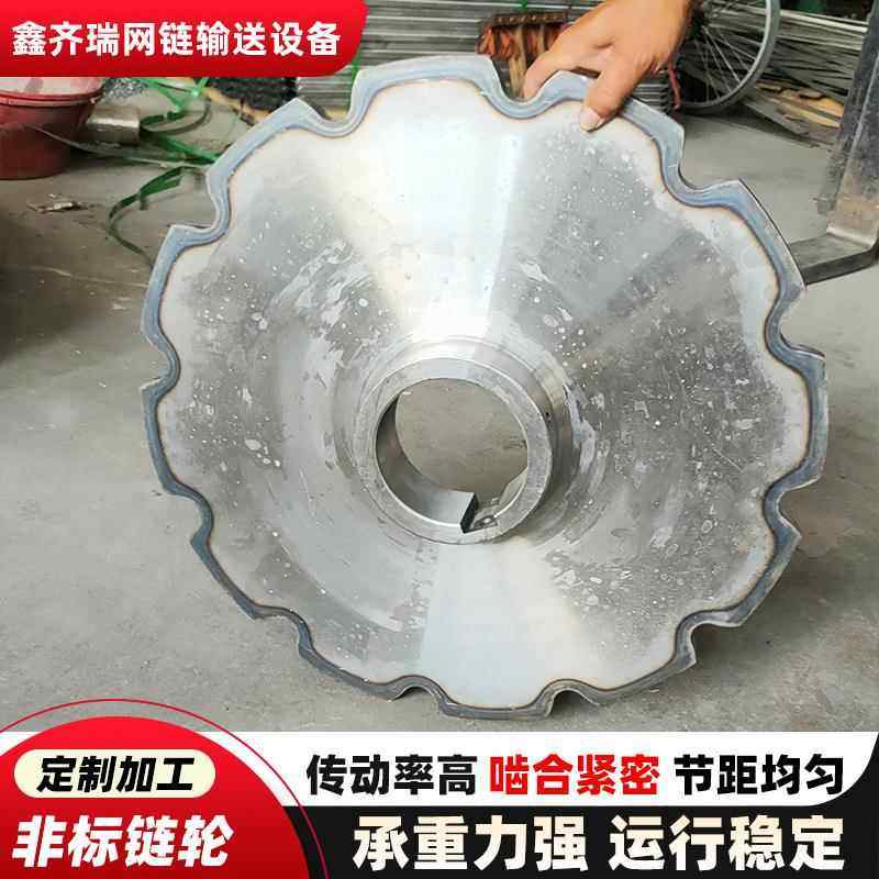 链轮非标传动工业双排输送轮倍速石油化工机械设备配件不锈钢链轮