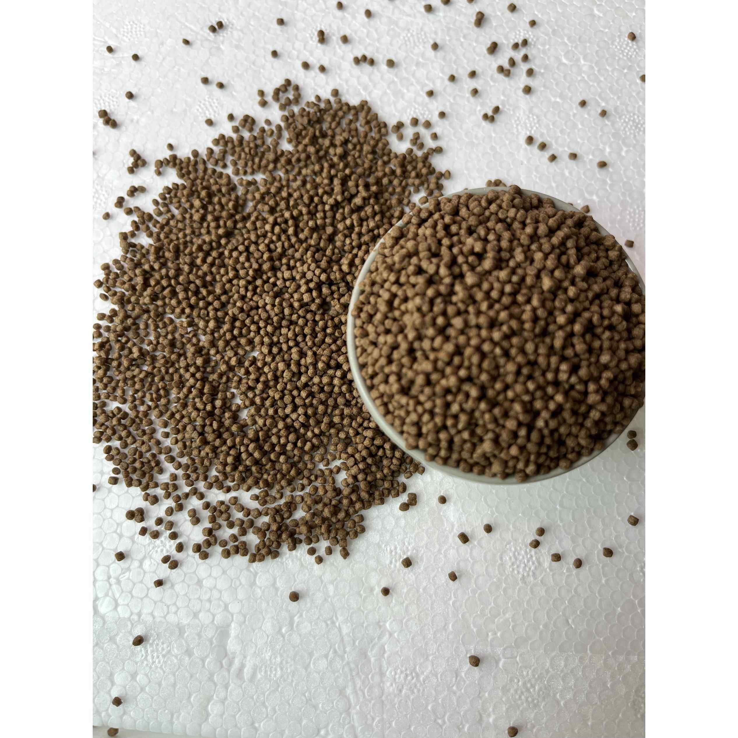 黄金甲鱼食料龟鳖食料黄金鳖食料甲鱼投喂甲鱼饵料喂养食料饲料粮,宠物/宠物食品及用品,观赏龟/鳖饲料,淘宝优惠券,粉丝福利购,淘宝优惠卷