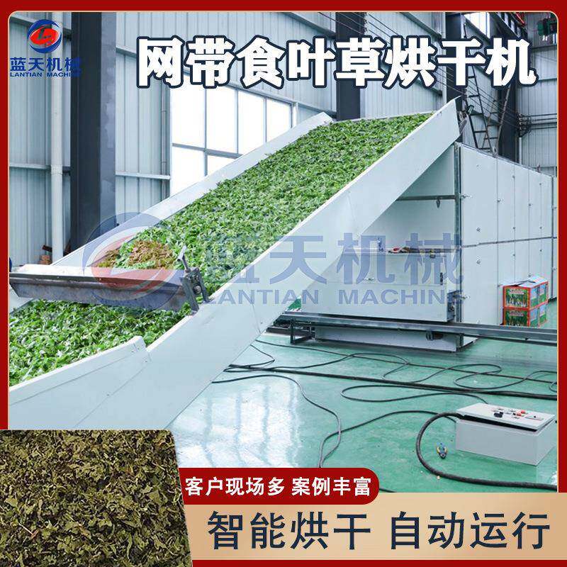 大型食叶草烘干机网带式蛋白草脱水烘干机氨基酸草长寿草干燥机