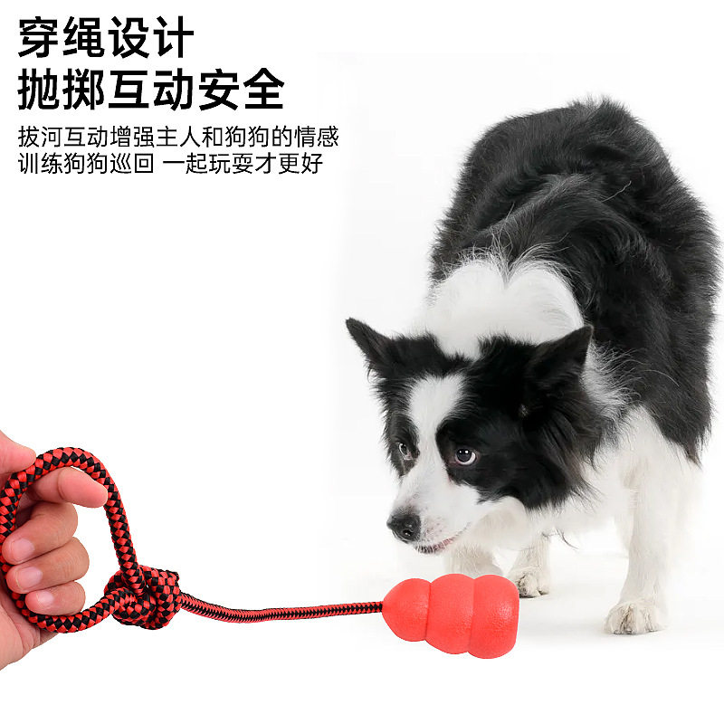 户外登山包固定挂扣弹力绳松紧绑绳背包外挂帽子手套登山杖装备,宠物/宠物食品及用品,磨牙洁齿玩具/绳结玩具,淘宝优惠券,粉丝福利购,淘宝优惠卷