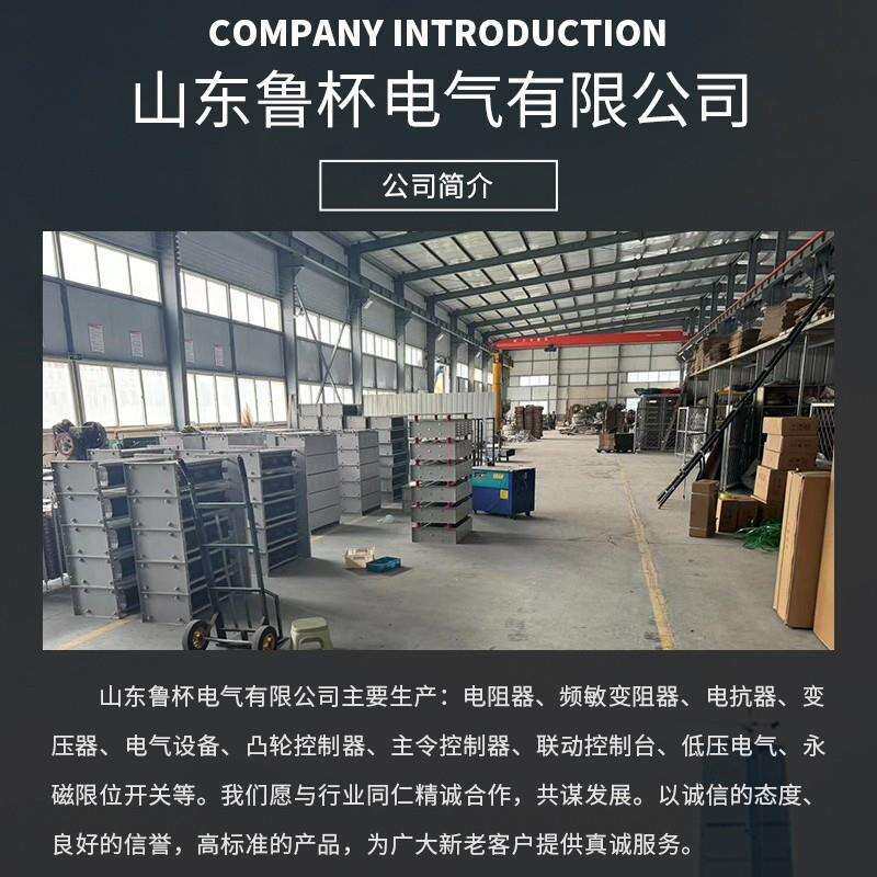 鲁杯RF54-315M-10/10J升降机制动电阻用于仪器设备及自动控制装置