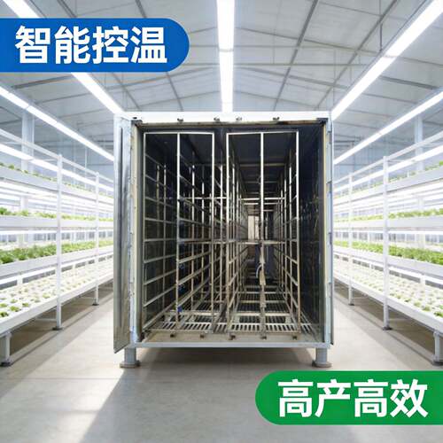 苗菜机 全自动苗菜机 智能苗菜设备 商用苗菜机