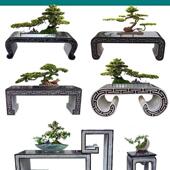 石雕架中国园林青石户外底座花桌盆景桌石桌石凳庭院落地式 摆件