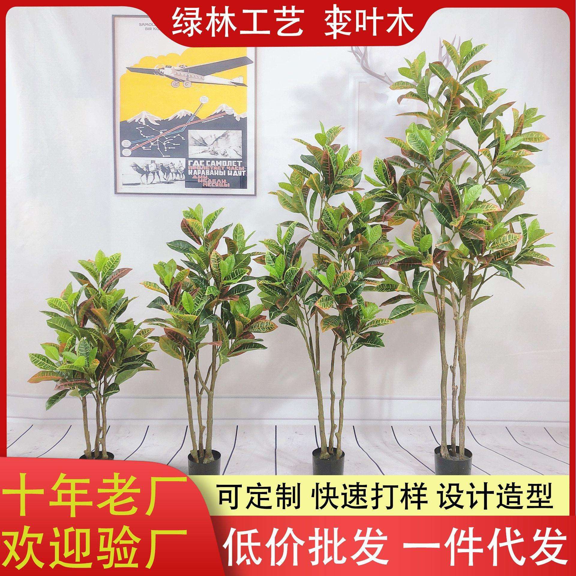 仿真洒金榕庭院室内外绿化假盆栽假盆景人造洒金榕盆栽绿植变叶树