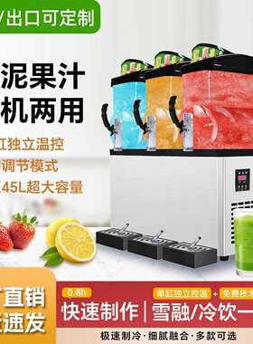 雪泥机水果冷饮机饮料机果汁机自助橙汁啤酒可乐冰沙机雪融机商用