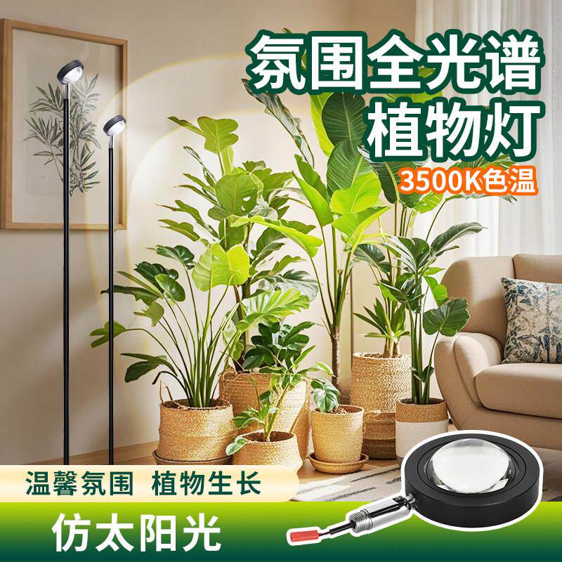 植物补光灯落地仿太阳全光谱光照灯热植花卉多肉专用家用生长灯