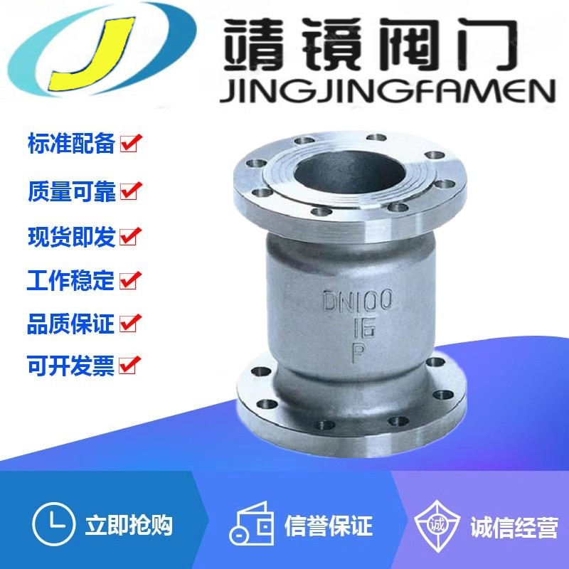 H42W-10/16P立式304不锈钢止回阀DN15-300弹簧升降式防腐蚀单向阀