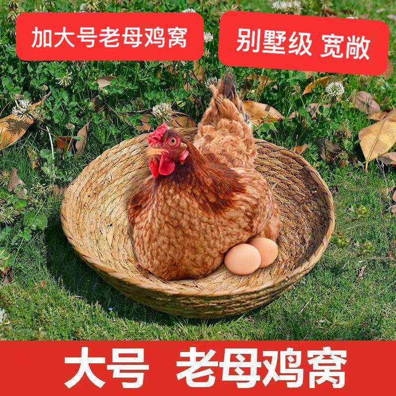加大老母鸡窝草窝下蛋孵蛋鸽子荷兰猪宠物草编猫窝狗窝鸭鹅平底