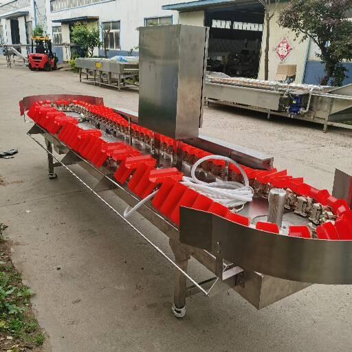 白条鹅重量分选机全自动鸡腿分级设备料盒式鸡翅分级机