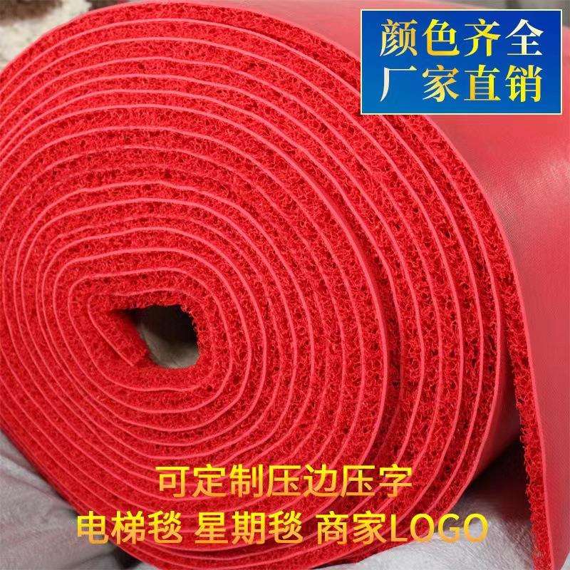 塑料pvc丝圈拉丝地垫室外蹭土去沙地垫迎宾地毯可印公司LOGO