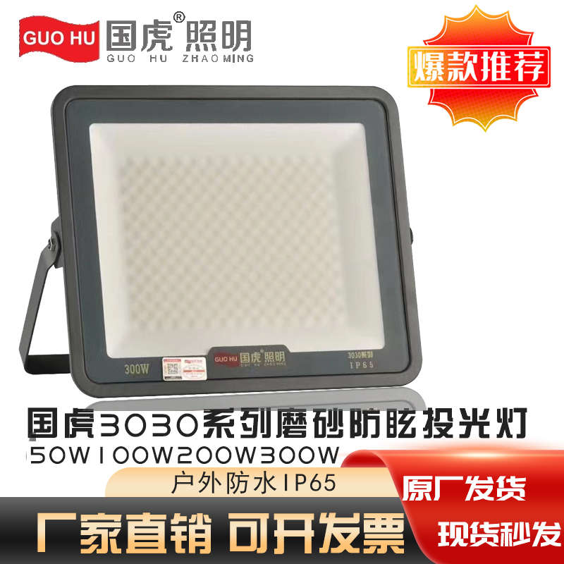 国虎led投光灯3030系列磨砂防眩目户外防水OIP66绿色节能100W200W