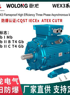 WEX3防爆电机卧龙电气南阳防爆CQST/IECEx/ATEX认证XGLOBE