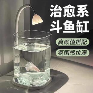 斗鱼缸桌面缸2025新款网红迷你玻璃鱼缸小鱼缸自循环过滤造景套装