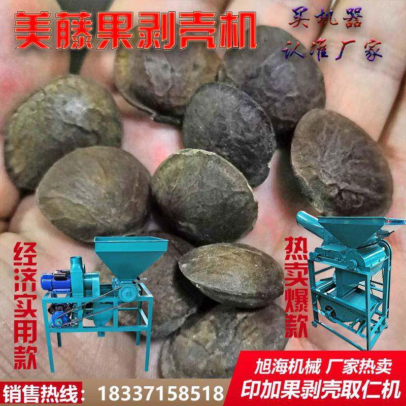 新型新款藤果星油藤印加奇异果橡子籽剥壳取仁机去壳脱皮设备
