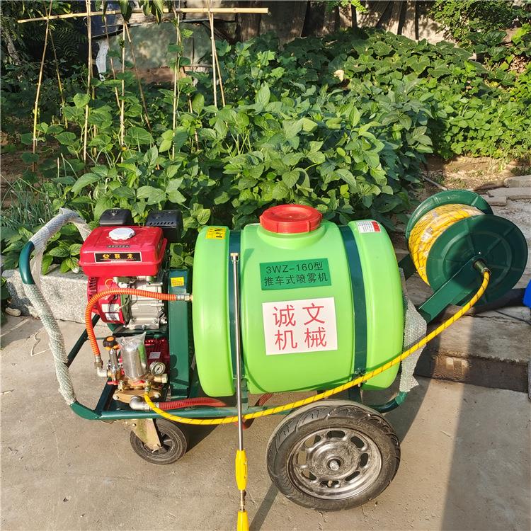 诚文四轮拉喷管式打药车推式高压喷雾手器果园农庄菜园药器多地形