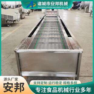 新式 金针菇清洗设备苹果清洗机芹菜清洗设备