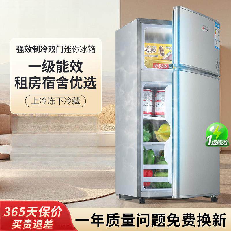 一级能效小冰箱家用小型宿舍租房用迷你省电办公室双门电冰箱