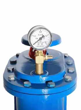 丰稚复合式排气阀CARX型快速自动排放气阀DN40