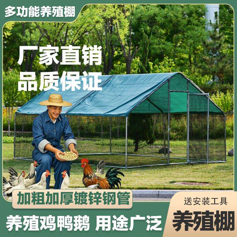 大型养殖鸡棚特大号家禽养鸡鸡笼鸽笼孔雀防雨家用搭建鸡舍户外