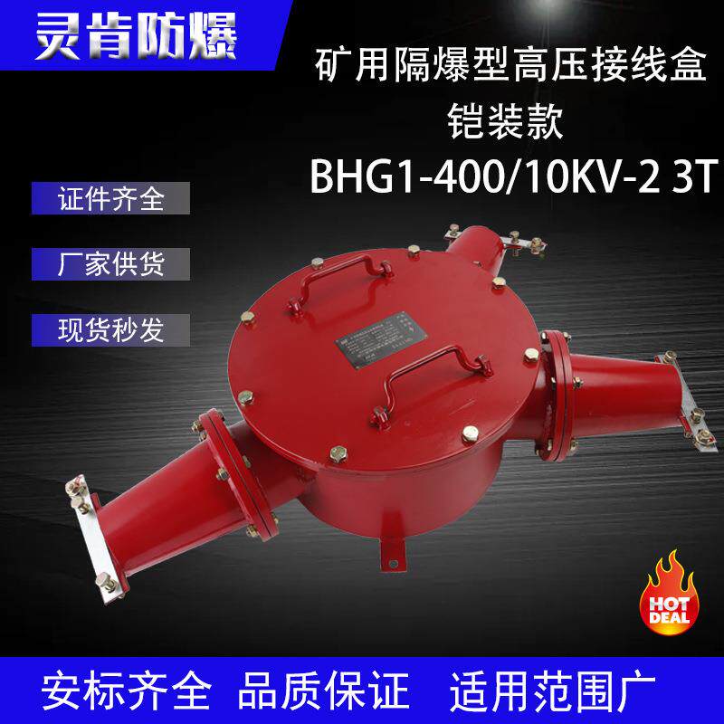 铠装BHG1-400/10-23G井下防爆分线盒矿用隔爆型高压电缆接线盒