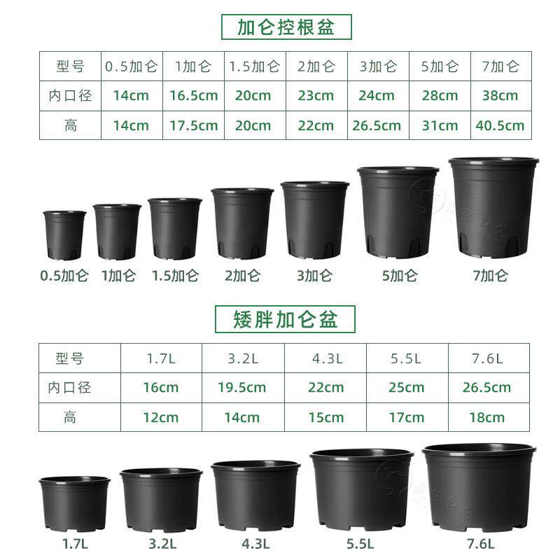 加仑盆塑控塑根栽月季黑色盆种植育苗料二代花盆厂家0 003料直销