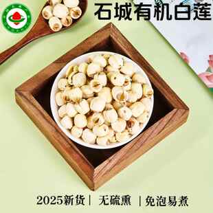 新鲜有机莲子干货去芯无硫石城白莲软糯香甜煲汤莲籽野生江西特产