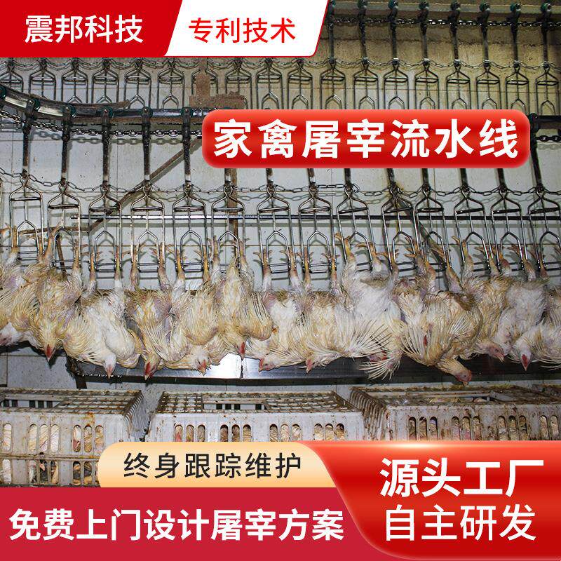 鸡鸭鹅脱毛机屠宰场设备肉兔屠宰设备鹌鹑鸽子自动宰杀设备厂家