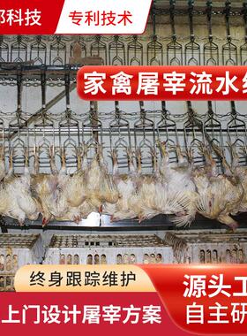 鸡鸭鹅脱毛机屠宰场设备肉兔屠宰设备鹌鹑鸽子自动宰杀设备厂家