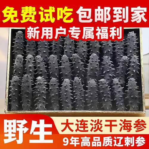 大连海参深海9年淡干海参辽参干货500g刺参非即食海参礼盒孕妇