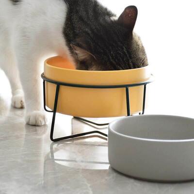 bowl ceramic single - double pet dog food bowl cat 喂 食碗