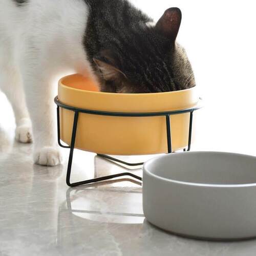 bowl ceramic single - double pet dog food bowl cat 喂 食碗
