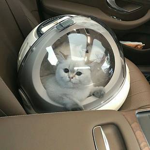 狗笼透气便捷猫包宠物航空箱猫窝太空舱猫砂盆便携外出猫手提猫咪