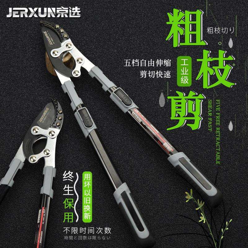 京选伸缩粗枝剪修枝剪树枝园林剪刀果树修剪省力高枝高空剪枝剪刀