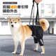 狗狗辅助带新款 透气鱼骨保护支撑脊椎狗狗训练上楼宠物护具