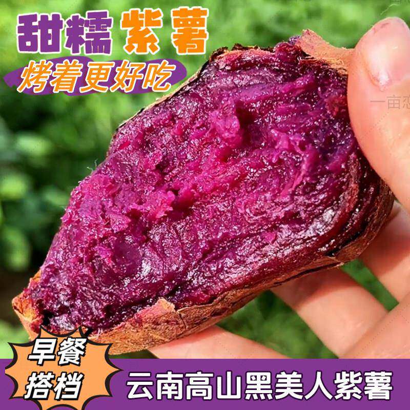 新鲜紫皮紫薯果肉饱满粉糯香甜蒸制软糯生鲜地瓜