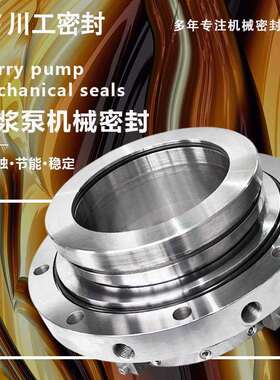 集装机封 300ZJ-I-A901527-TK035 双端面渣浆泵机械密封