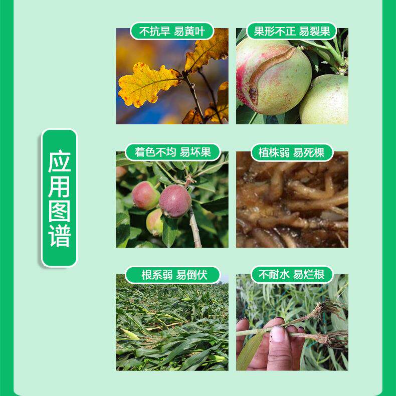 新款直销海藻鱼蛋白水溶肥冲施肥生根壮苗果树蔬菜农用高钙高钾桶
