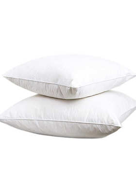 定制pillow抱枕芯沙发靠垫芯羽绒靠枕床头腰靠背枕头内胆腰垫定做