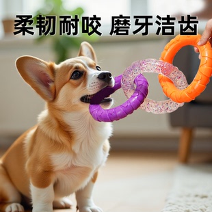 狗狗玩具拉力环耐咬洁齿磨牙解闷泰迪金毛大小型犬训练宠物用品