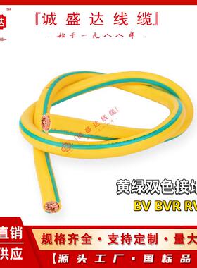 101625平方黄绿双色接地线软电缆铜芯ZR-BVBVRRVPE接地电线