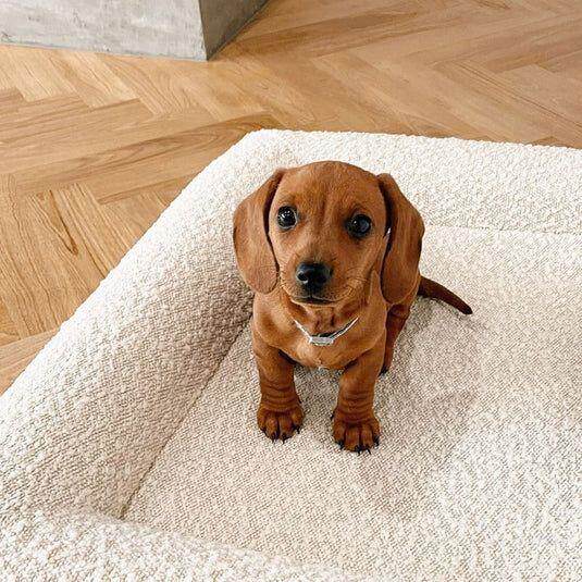 宠物矩形床Rectagular bed31091BOUl 狗沙发床Pet sofa 宠物窝Pet