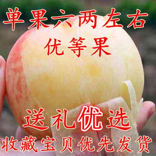 水蜜桃大果软桃桃子水果新鲜孕妇水果脆甜现货毛桃软糯香五斤包邮