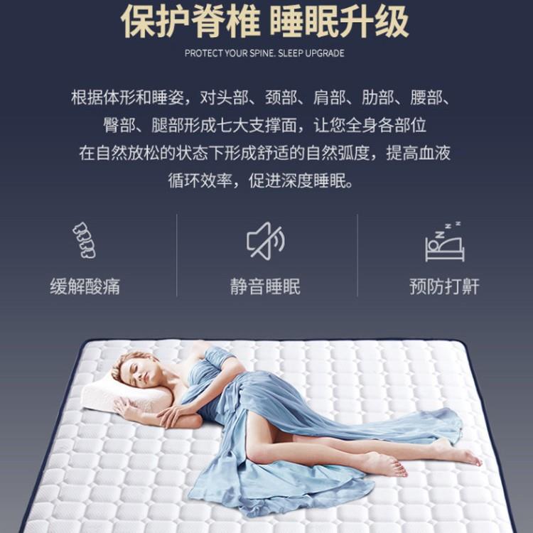 海马伊品梦床垫 1.8米床软硬两用弹簧椰棕垫山棕席梦思垫20cm厚22