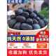 太行山无核黑枣特级野生大乌枣君迁子特产煲汤软枣黑枣官方旗舰店