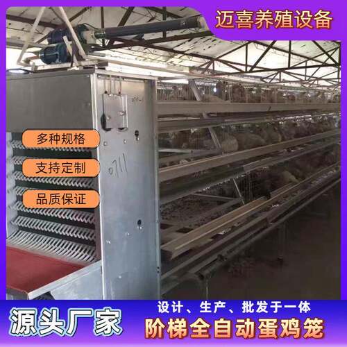 阶梯全自动化蛋鸡笼四层四门绿槽专业养鸡设备养殖场鸡舍