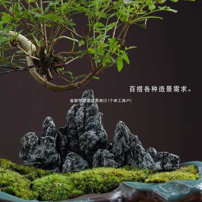 创意仿石头假山摆件花盆园艺鱼缸流水造景太湖山小型号装饰品配件