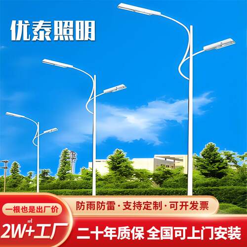 厂家直销高臂双挑LED灯市政工程同款电路灯6~15米杆长热镀锌路灯