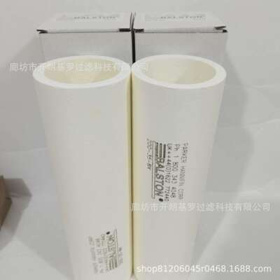干气密封滤芯 100-25-BX/ H113200-35-BX /200-35-DX干气分离滤芯